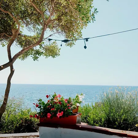 Hotel Mediterraneo Sapri 4*